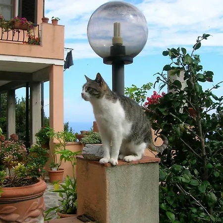 Le Casine Apartment Marciana (Isola d'Elba)